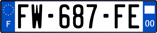 FW-687-FE