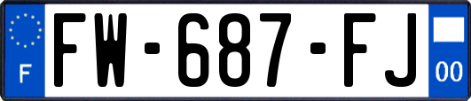 FW-687-FJ
