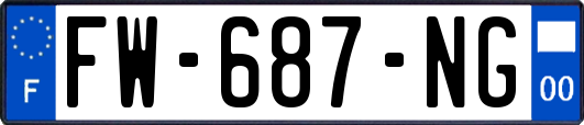 FW-687-NG