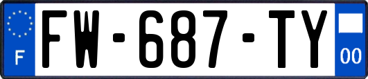 FW-687-TY