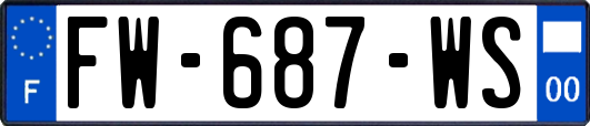 FW-687-WS