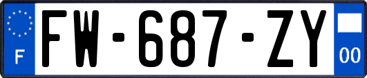 FW-687-ZY
