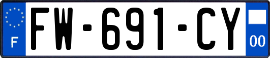 FW-691-CY
