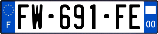 FW-691-FE