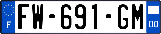 FW-691-GM