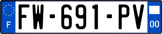 FW-691-PV