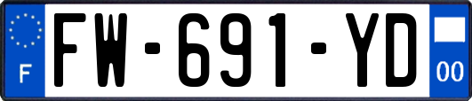 FW-691-YD