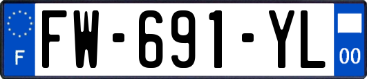 FW-691-YL