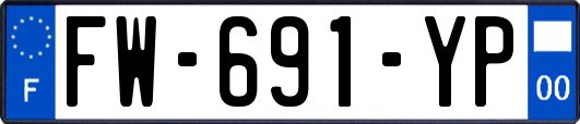 FW-691-YP