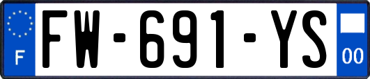 FW-691-YS