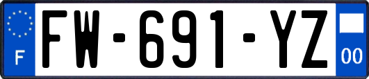 FW-691-YZ