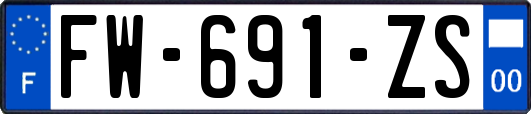 FW-691-ZS