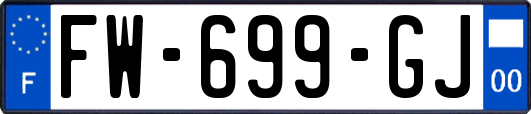 FW-699-GJ