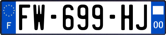 FW-699-HJ