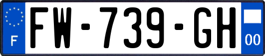 FW-739-GH