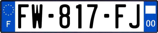 FW-817-FJ