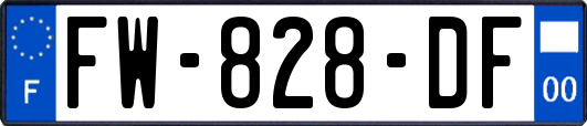 FW-828-DF