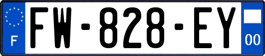 FW-828-EY