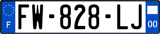 FW-828-LJ