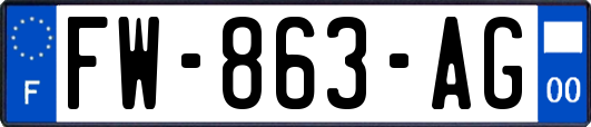 FW-863-AG