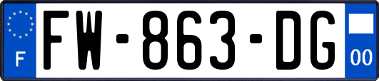 FW-863-DG