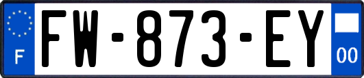 FW-873-EY