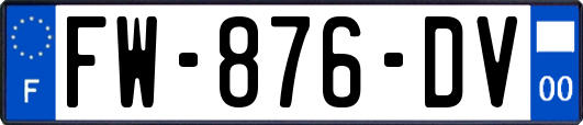 FW-876-DV