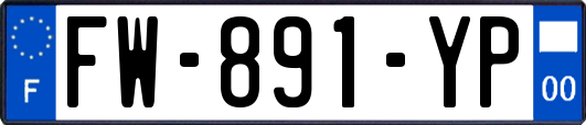 FW-891-YP