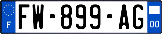 FW-899-AG