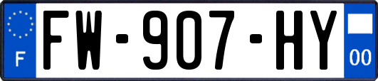 FW-907-HY