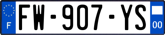 FW-907-YS