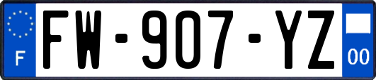 FW-907-YZ