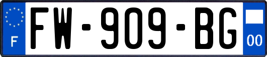 FW-909-BG