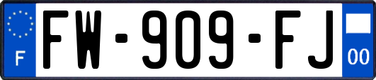 FW-909-FJ