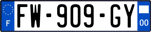 FW-909-GY