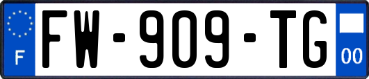 FW-909-TG