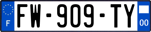 FW-909-TY