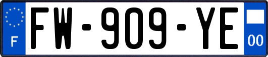 FW-909-YE
