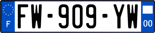 FW-909-YW
