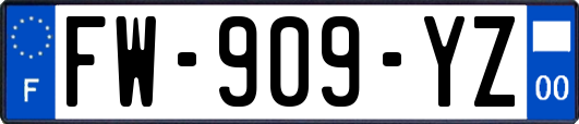 FW-909-YZ