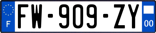 FW-909-ZY