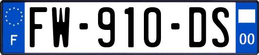 FW-910-DS