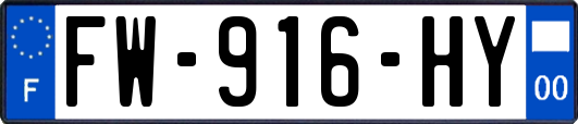 FW-916-HY