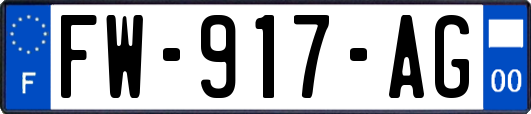 FW-917-AG