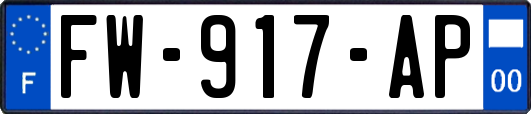 FW-917-AP