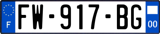 FW-917-BG
