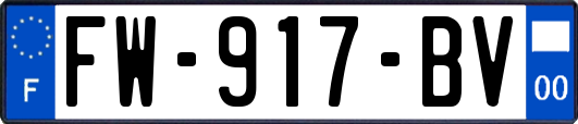 FW-917-BV