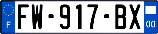FW-917-BX