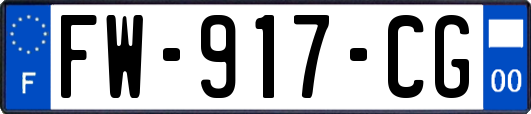 FW-917-CG
