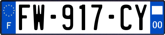 FW-917-CY